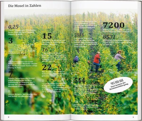 Produktbild: DUMONT direkt Reiseführer Mosel