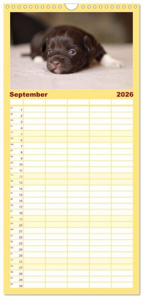 Produktbild: Familienplaner 2026 - Bolonka Zwetna mit 5 Spalten (Wandkalender, 21 x 45 cm) CALVENDO