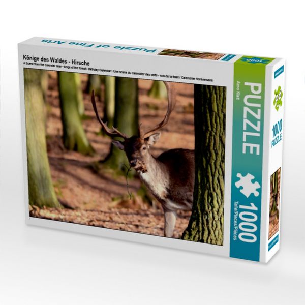 CALVENDO Puzzle Könige des Waldes - Hirsche | 1000 Teile Lege-Größe 64x48cm Foto-Puzzle für glückliche Stunden