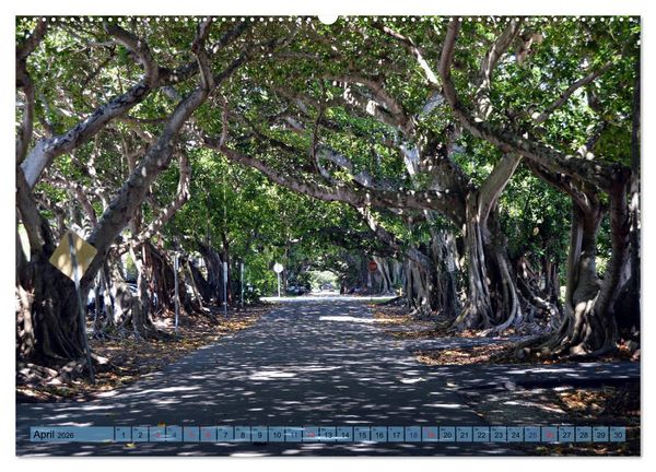 Produktbild: Florida Spots II (Wandkalender 2026 DIN A2 quer), CALVENDO Monatskalender