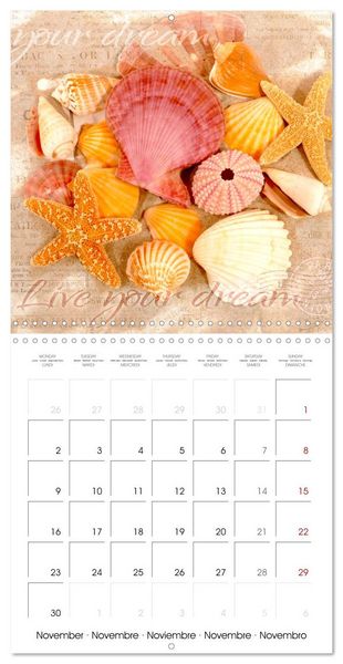 Produktbild: Life is better at the sea (Wall Calendar 2026 12 &times; 12 Inch) CALVENDO 12 Month Wall Calendar
