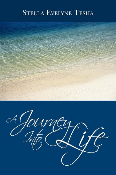 Produktbild: A Journey Into Life