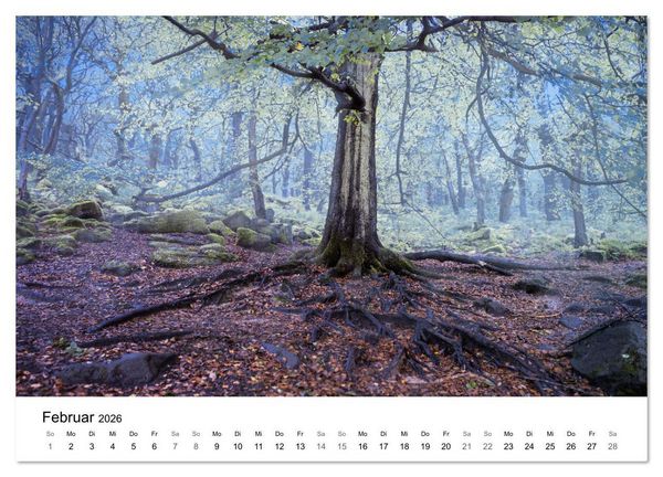 Produktbild: Magie der W&auml;lder Britanniens (Wandkalender 2026 DIN A4 quer), CALVENDO Monatskalender