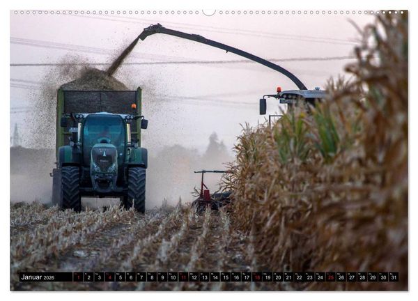 Produktbild: MAIS ERNTE (Wandkalender 2026 DIN A2 quer), CALVENDO Monatskalender