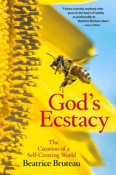 Produktbild: God's Ecstasy The Creation of a Self-Creating World