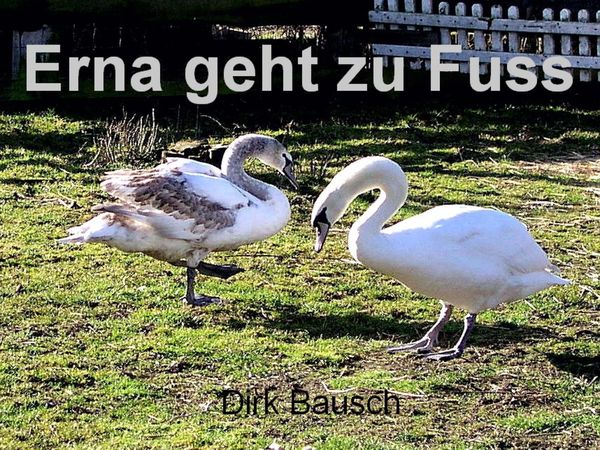 Produktbild: Erna geht zu Fuss