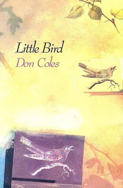 Produktbild: Little Bird