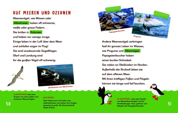 Produktbild: Dein Lesestart - V&ouml;gel