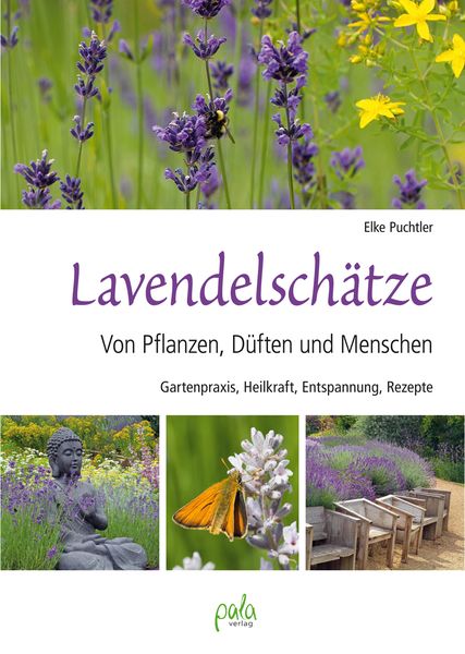 Lavendelschätze, Gebundene Ausgabe von Elke Puchtler, Pala, 9783895663772