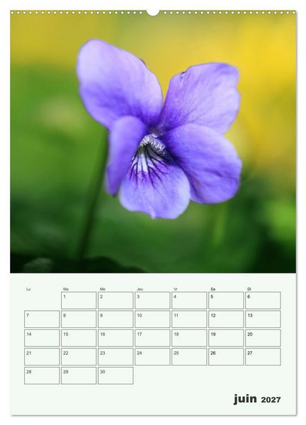 Produktbild: Fleurs en toute simplicit&eacute; - Beaut&eacute; minimaliste (Calendrier mural 2027 DIN A2 horizontal), CALVENDO calendrier mensuel
