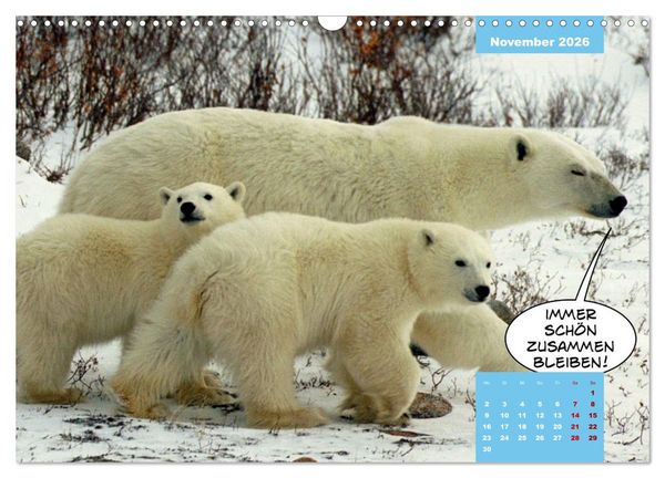 Produktbild: Lustige Eisb&auml;ren (Wandkalender 2026 DIN A3 quer), CALVENDO Monatskalender