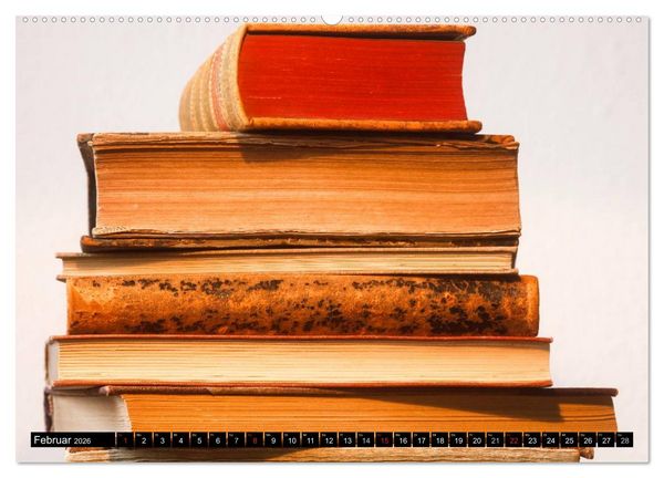 Produktbild: Welt der B&uuml;cher (hochwertiger Premium Wandkalender 2026 DIN A2 quer), Kunstdruck in Hochglanz