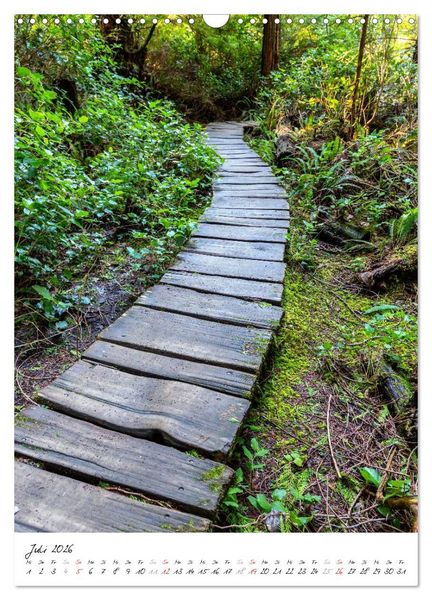 Produktbild: Weltnaturerbe Olympic National Park (Wandkalender 2026 DIN A3 hoch), CALVENDO Monatskalender