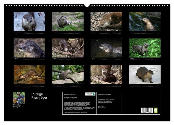 Produktbild: Putzige Fischj&auml;ger (Wandkalender 2027 DIN A2 quer), CALVENDO Monatskalender