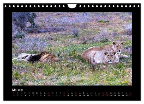 Produktbild: S&uuml;dafrika - Garden Route (Wandkalender 2026 DIN A4 quer), CALVENDO Monatskalender