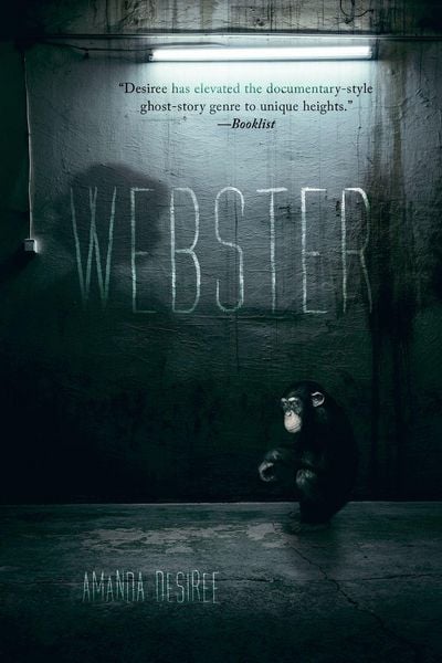 Produktbild: Webster