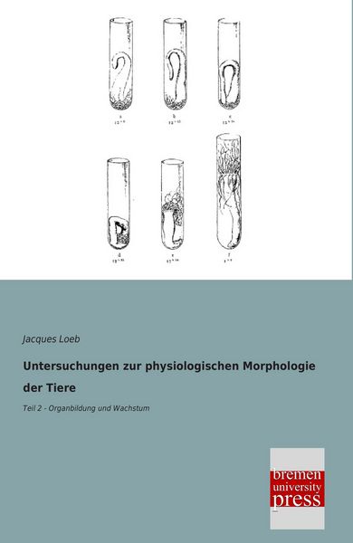 Produktbild: Untersuchungen zur physiologischen Morphologie der Tiere