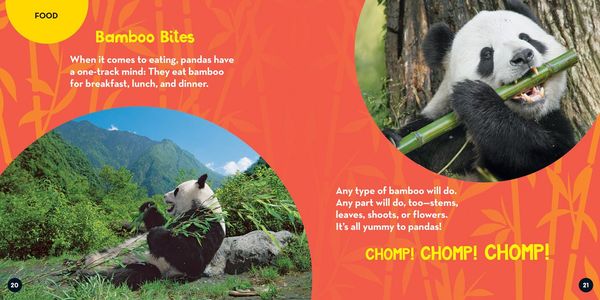 Produktbild: Go Wild! Pandas