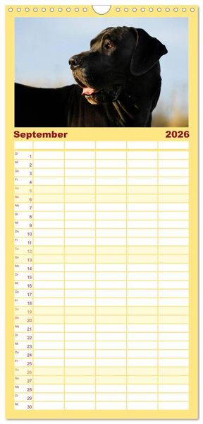 Produktbild: Familienplaner 2026 - Deutsche Dogge mit 5 Spalten (Wandkalender, 21 x 45 cm) CALVENDO