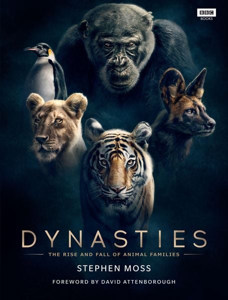 Produktbild: Dynasties
