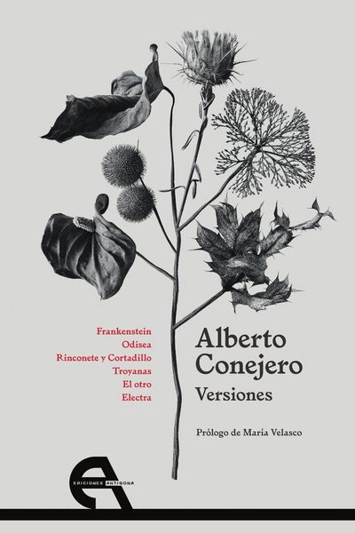 Produktbild: Versiones