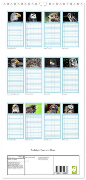 Produktbild: Familienplaner 2027 - Greifv&ouml;gel, Eulen und K&auml;uze mit 5 Spalten (Wandkalender, 21 x 45 cm) CALVENDO