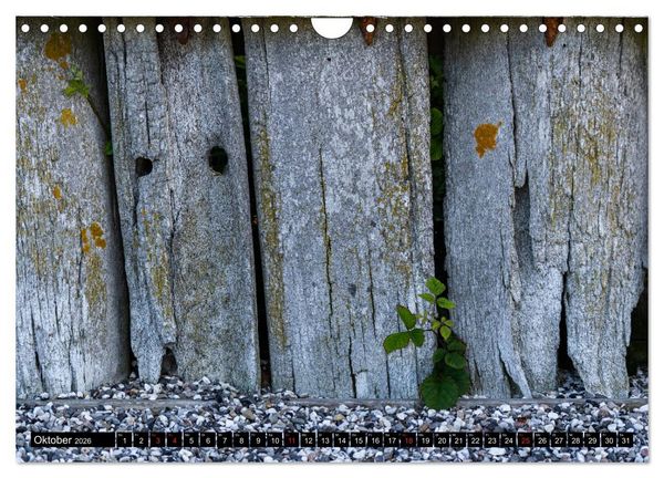 Produktbild: Urlaub auf R&ouml;m&ouml; (Wandkalender 2026 DIN A4 quer), CALVENDO Monatskalender