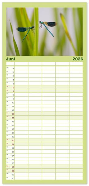 Produktbild: Familienplaner 2026 - Naturwunder Libellen mit 5 Spalten (Wandkalender, 21 x 45 cm) CALVENDO