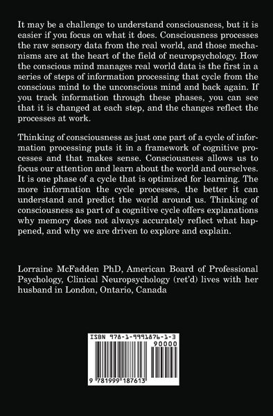 Produktbild: Mind Phases Consciousness and the information processing cycle