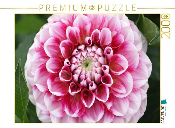 Produktbild: CALVENDO Puzzle Dahlienbl&uuml;te | 2000 Teile Lege-Gr&ouml;&szlig;e 90x67cm Foto-Puzzle f&uuml;r gl&uuml;ckliche Stunden