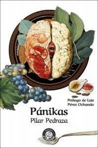 Produktbild: P&aacute;nikas