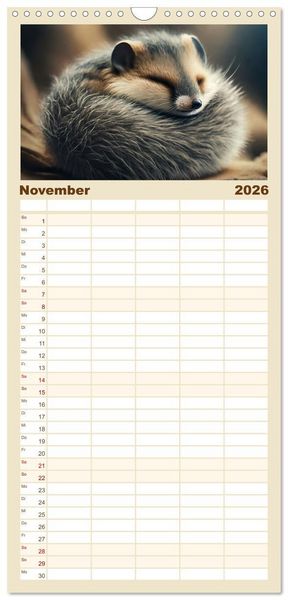 Produktbild: Familienplaner 2026 - Traumhafte Ruhe - Ein Jahr mit s&uuml;&szlig;en Schlafm&uuml;tzen mit 5 Spalten (Wandkalender, 21 x 45 cm) CALVENDO