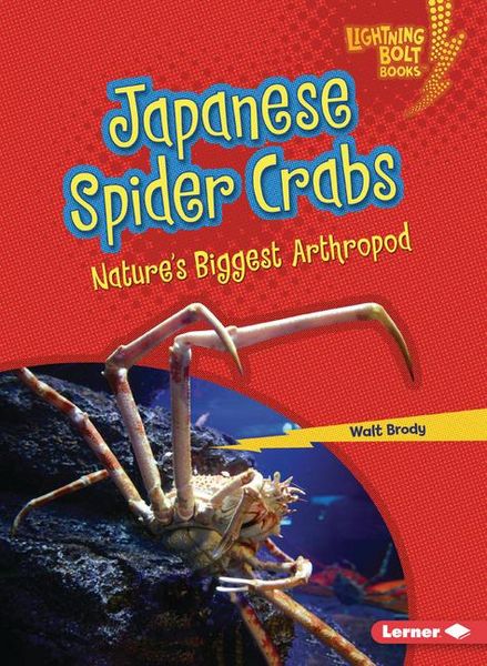 Produktbild: Japanese Spider Crabs