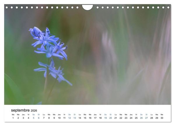 Produktbild: Fleurs po&eacute;tiques (Calendrier mural 2026 DIN A4 vertical), CALVENDO calendrier mensuel