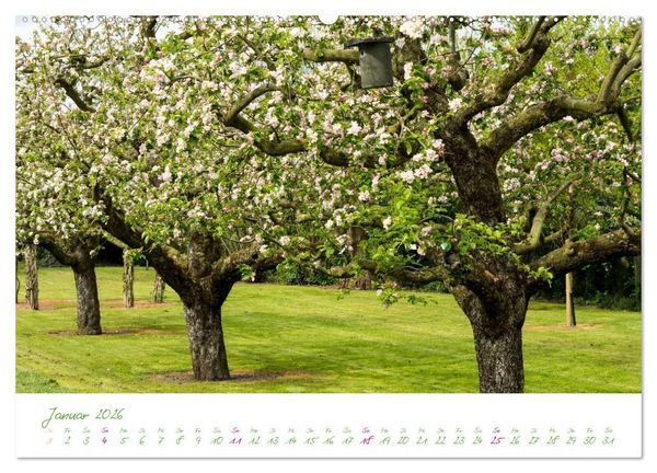 Produktbild: Kreislehrgarten in Steinfurt (hochwertiger Premium Wandkalender 2026 DIN A2 quer), Kunstdruck in Hochglanz