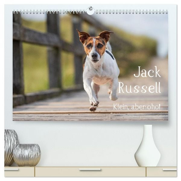 Produktbild: Jack Russell - Klein, aber oho! (hochwertiger Premium Wandkalender 2026 DIN A2 quer), Kunstdruck in Hochglanz