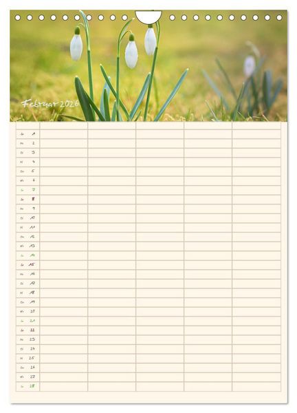 Produktbild: Mit Blick in den Garten (Wandkalender 2026 DIN A4 hoch), CALVENDO Monatskalender