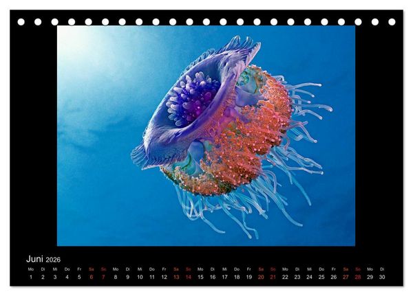 Produktbild: Ocean-Art / CH-Version (Tischkalender 2026 DIN A5 quer), CALVENDO Monatskalender
