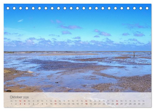 Produktbild: Salzwiesen, Schafe und Watt - Westerhever, ein Naturparadies an der Nordsee (Tischkalender 2026 DIN A5 quer), CALVENDO Monatskalender