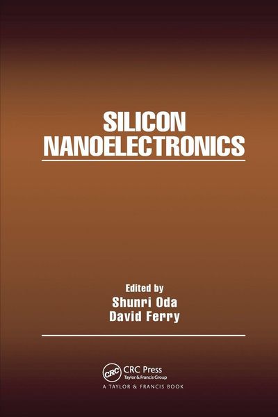 Produktbild: Silicon Nanoelectronics