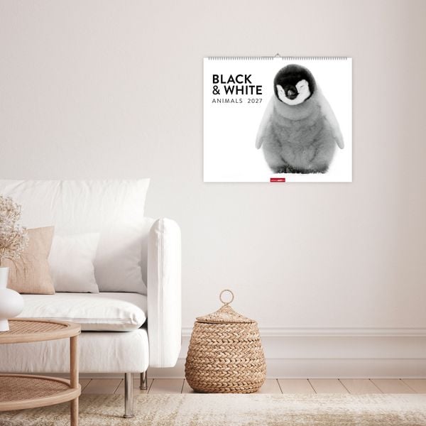 Produktbild: Black & White Animals 2027