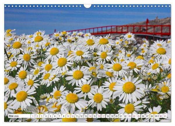 Produktbild: Gr&ouml;nland - Wildes, weites Land (Wandkalender 2026 DIN A3 quer), CALVENDO Monatskalender