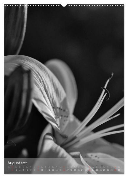 Produktbild: Monochrome Bl&uuml;ten - In Schwarz-Wei&szlig; Bildern durch das Jahr (hochwertiger Premium Wandkalender 2026 DIN A2 hoch), Kunstdruck in Hochglanz