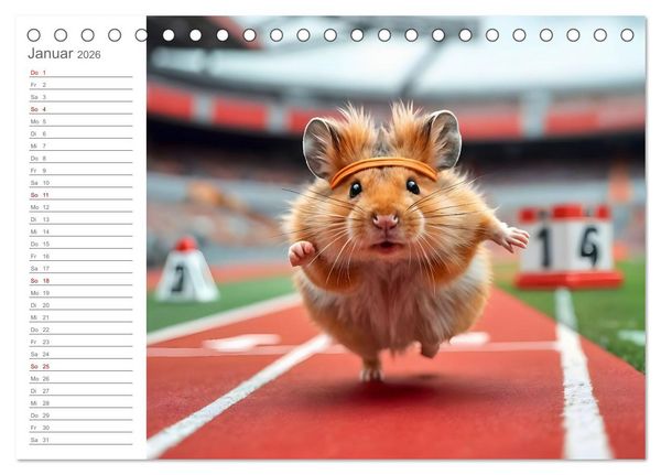 Produktbild: Hamster Olympiade - Der flauschigste Wettkampf des Jahres (Tischkalender 2026 DIN A5 quer), CALVENDO Monatskalender