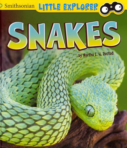 Produktbild: Snakes