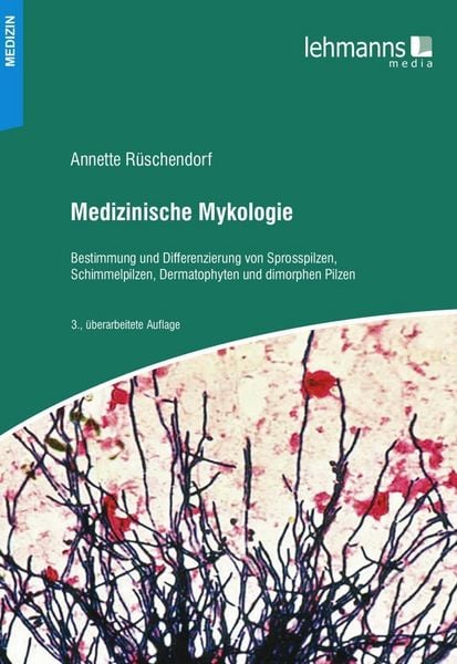 Produktbild: Medizinische Mykologie