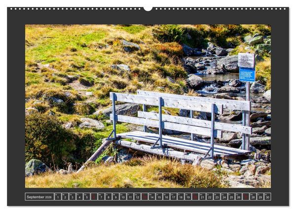 Produktbild: Gr&uuml;&szlig;e aus Wald (Wandkalender 2026 DIN A2 quer), CALVENDO Monatskalender