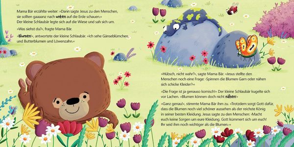 Produktbild: Der kleine Schlaub&auml;r macht sich Sorgen