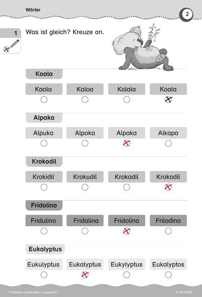 Produktbild: Fridolino Lernkartei