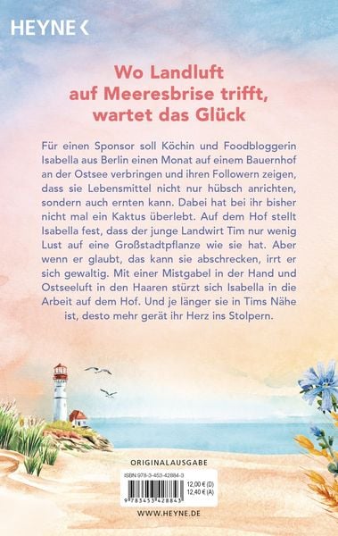 Muschelsommer